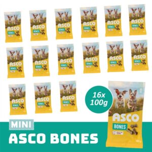 ASCO mini Bones16 .png