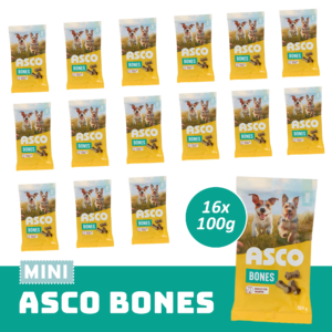 ASCO mini Bones16 .png