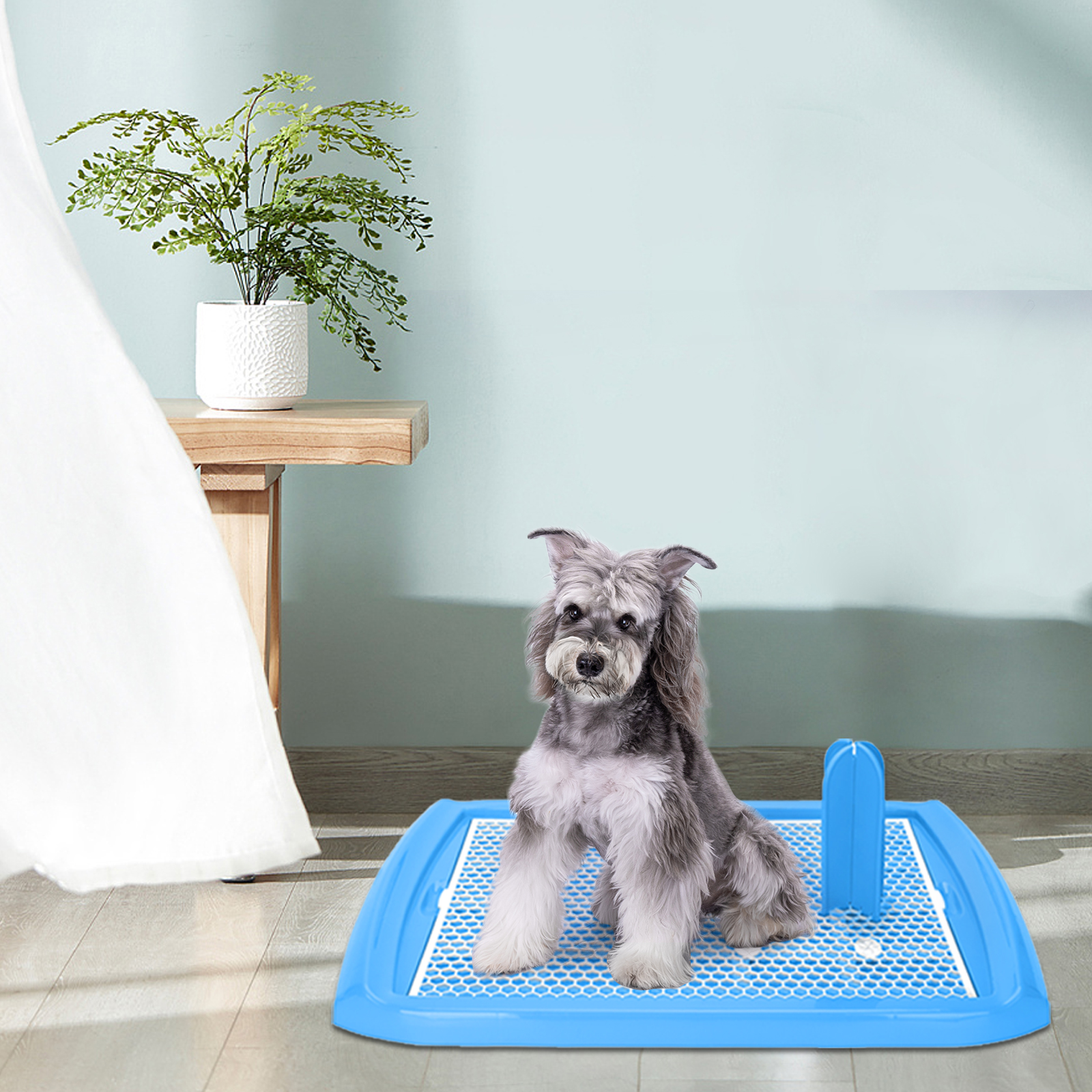 Hundetoilette Blau (4)