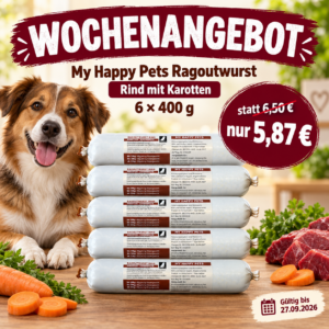 KW 39 Hund_Wurst.png