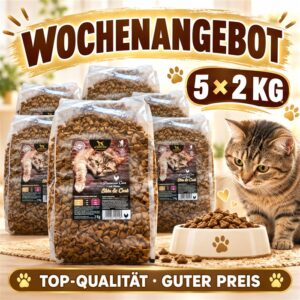 KW40_Katze KTF.png