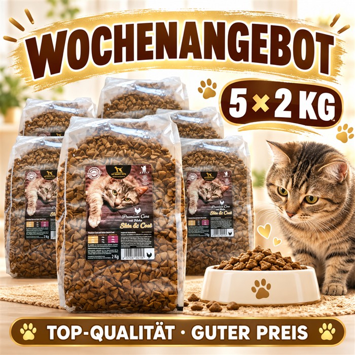 KW40_Katze KTF.png